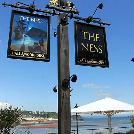 The Ness-3